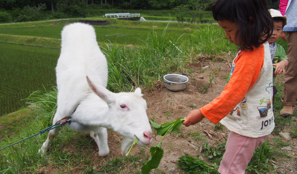 季節の暮らし体験