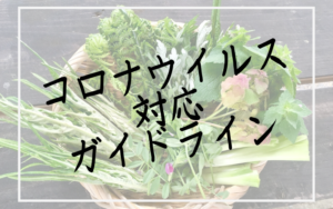コロナウイルス対応方針について