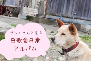 サンちゃんの見てきた田歌舎