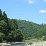 今年の夏は、大所帯のスタート!