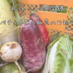 ネットショップに関するお知らせ