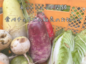 ネットショップに関するお知らせ