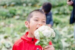 「掘る。そして美味しくいただく」10月11月限定!秋の食体験プラン《ファミリー向け》