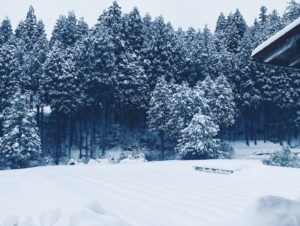 予約ご検討中のお客様へ