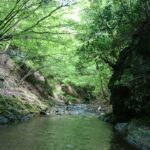 9月10月おすすめアクティビティ【秋にかけてのお出かけに】