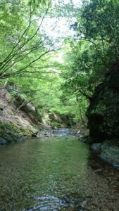 9月10月おすすめアクティビティ【秋にかけてのお出かけに】