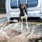 【冬のおすすめ】狩猟系体験のページを更新しました