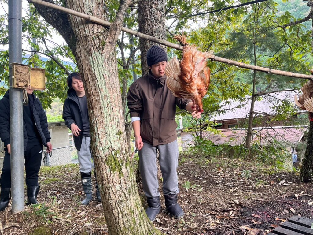 鶏の屠殺・解体体験