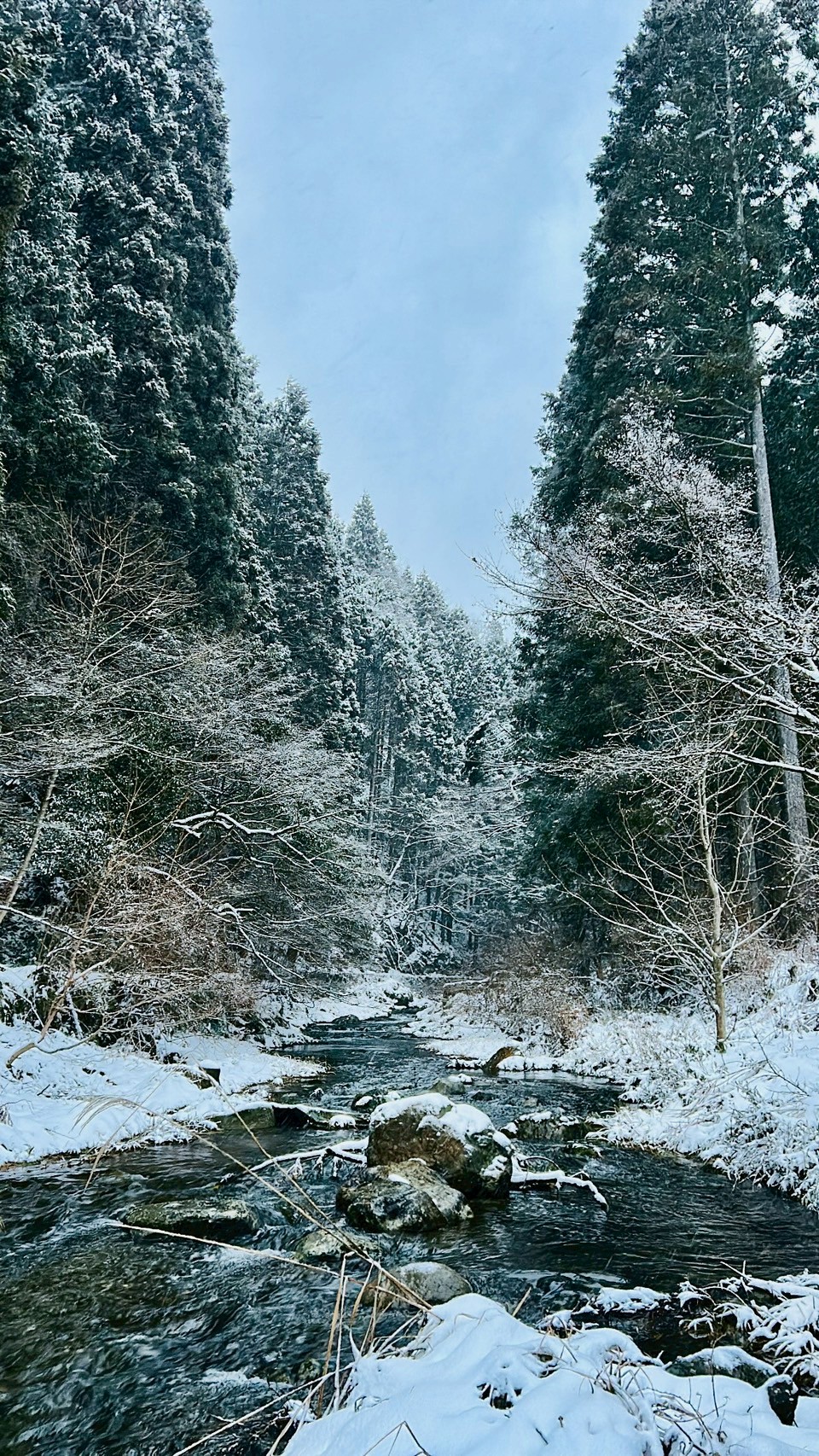 【雪もたっぷり!】２月のおすすめアクティビティ