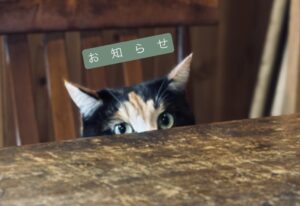 メールアドレスについて