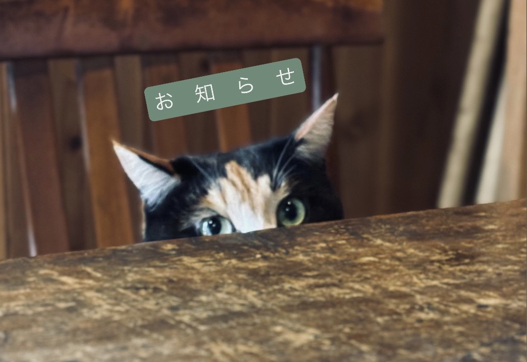 メールアドレスについて